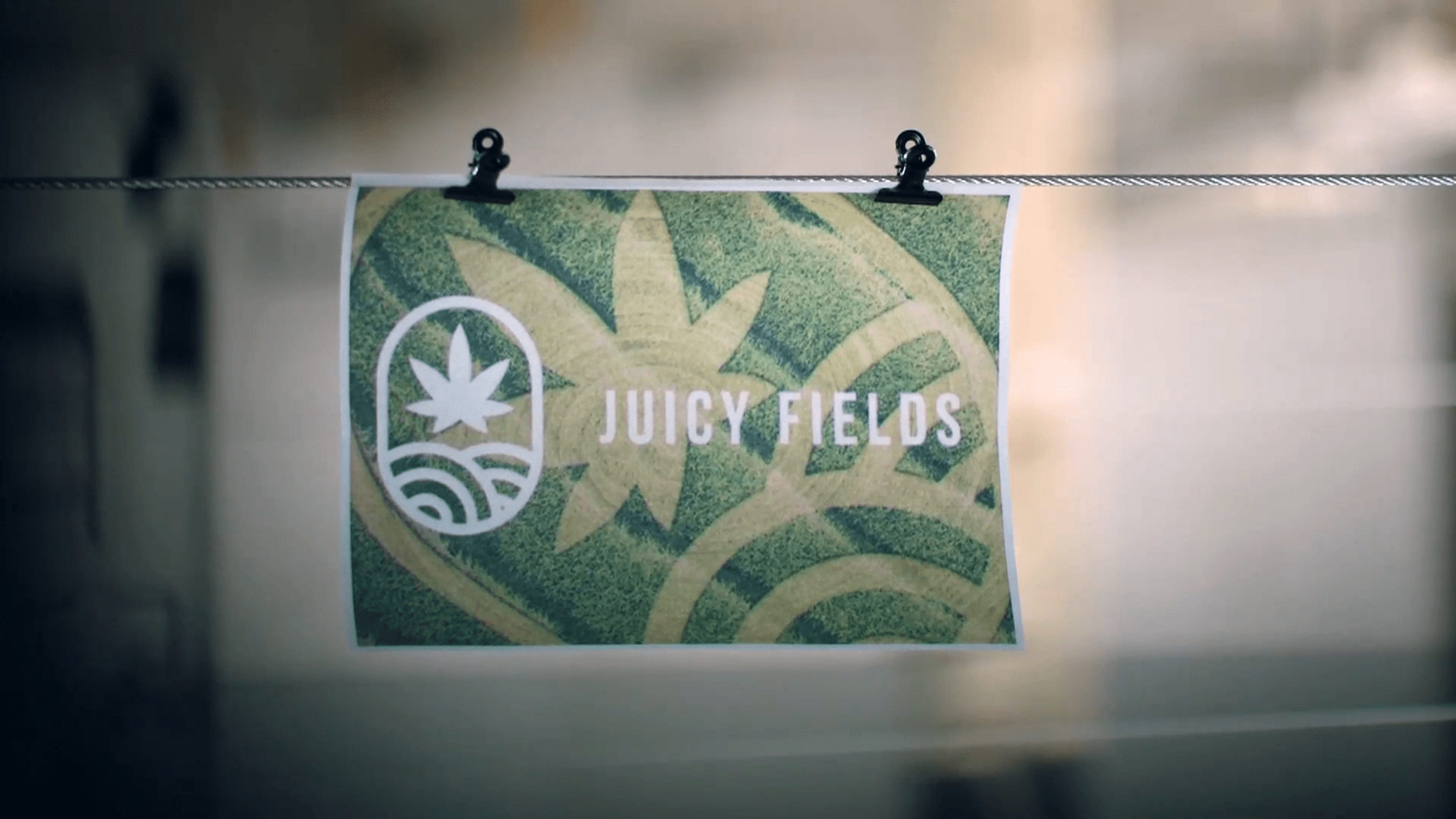 Hans van de V. en de Russen: dit zijn de hoofdrolspelers in het  cannabisbedrog - Zembla - BNNVARA