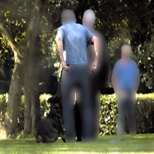 OM: opnieuw dierenmishandeling bij politiehondenvereniging Gemonde