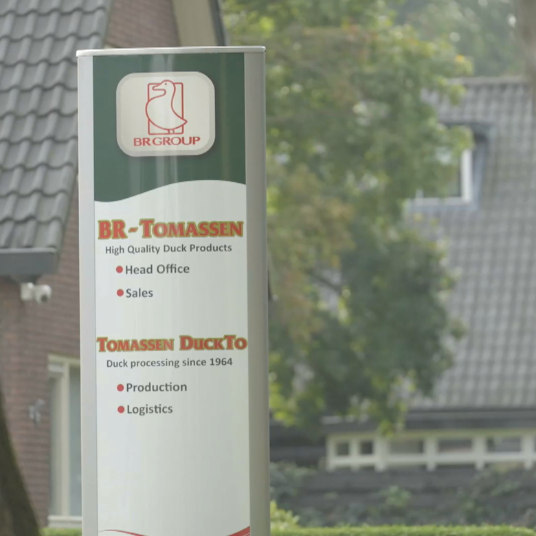 Afbeelding van Einde voor enige eendenslachterij van Nederland