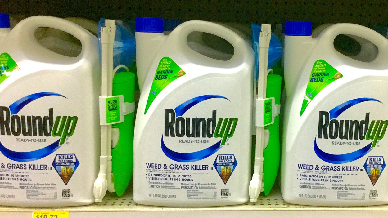 Roundup Flickr (Mike Mozart)2