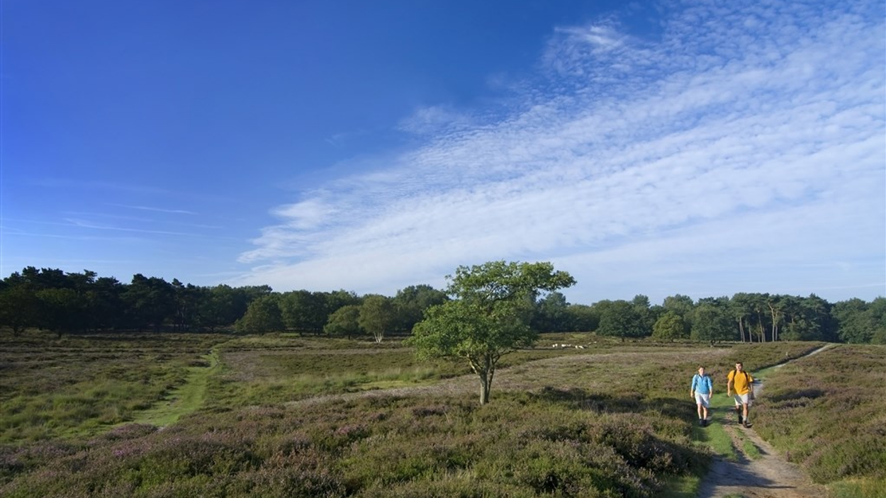de Gasterse Duinen - landbouwgif