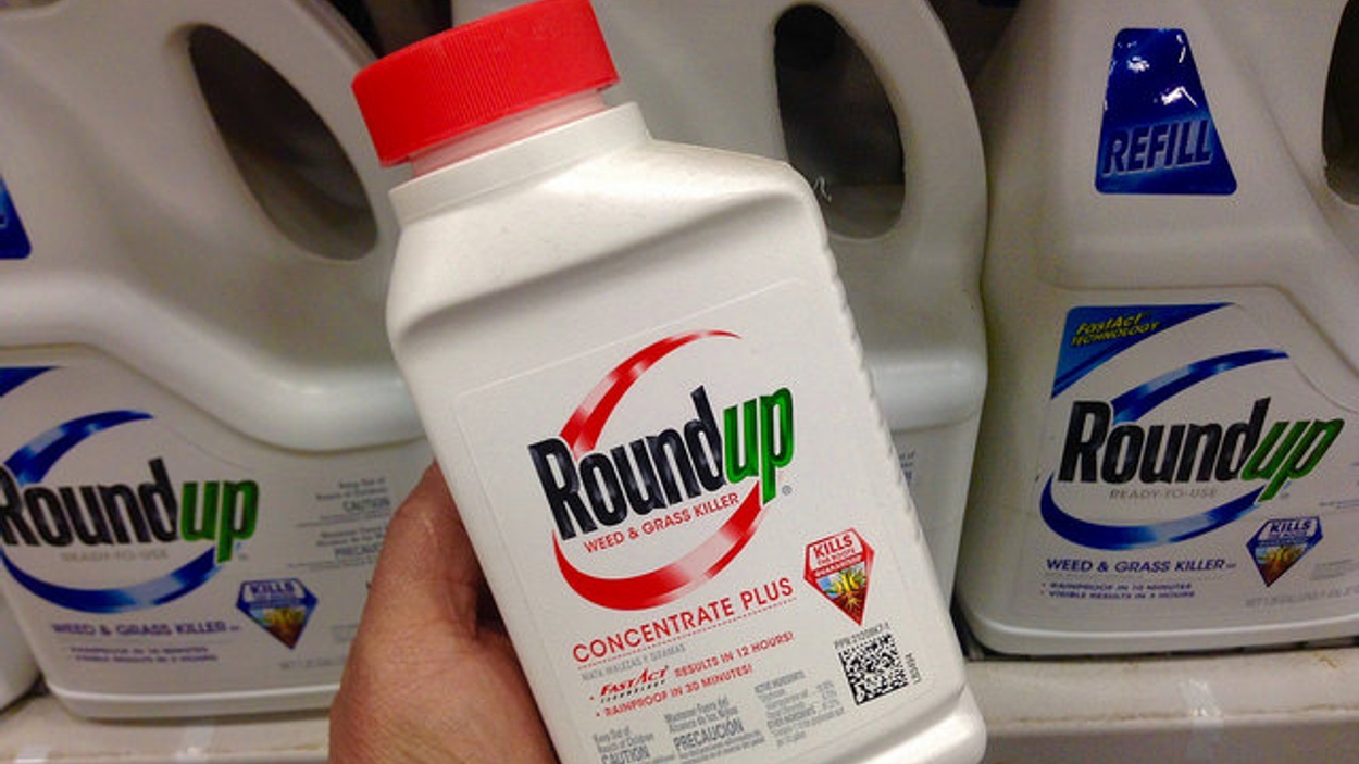 roundup 3 Flickr/Mike Mozart