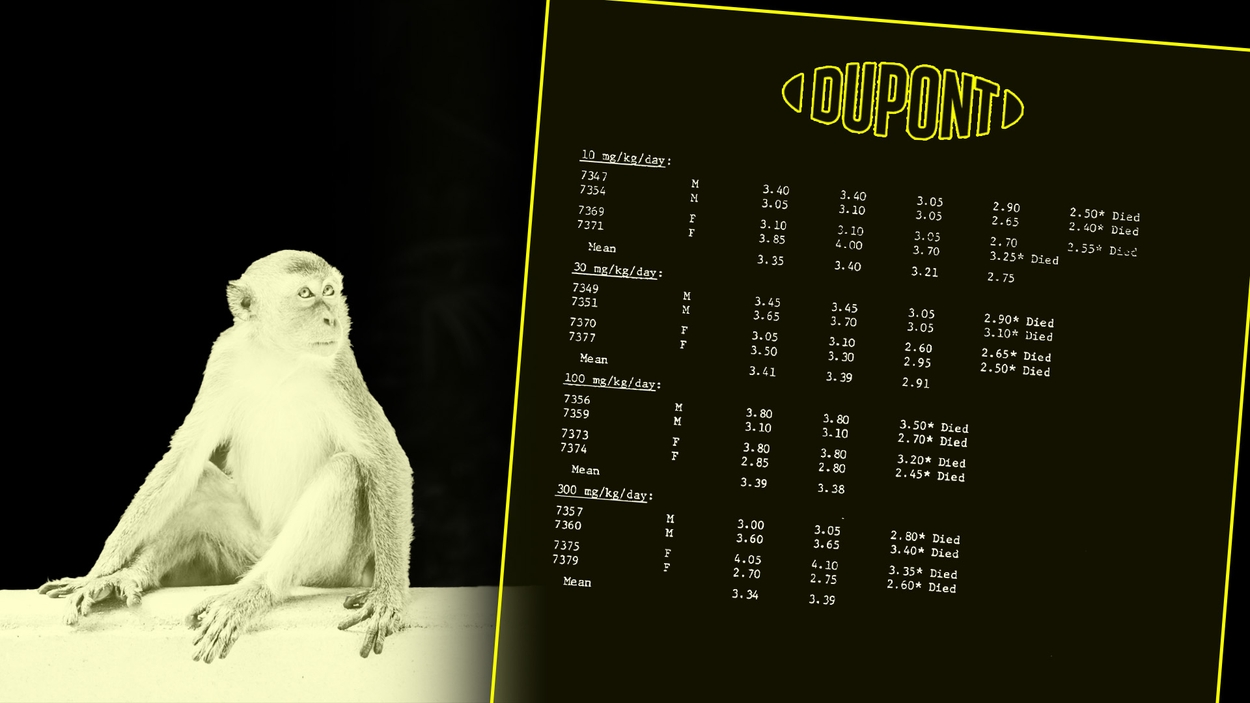 PFAS Doofpot Dupont apenstudie