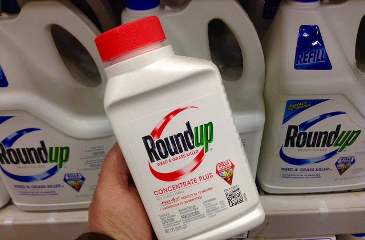 roundup 3 Flickr/Mike Mozart