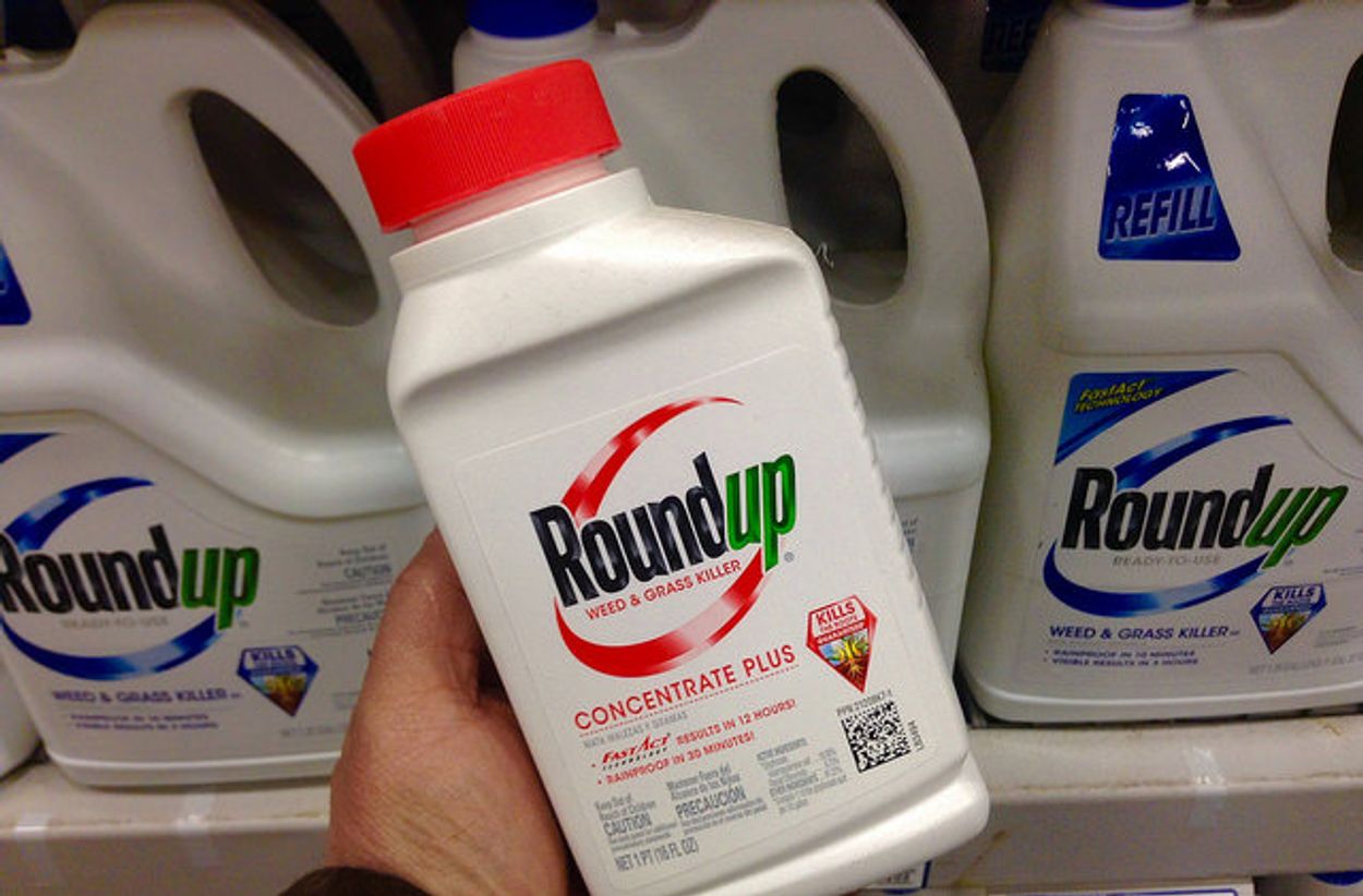 Afbeelding van Bayer moet bijna 87 miljoen dollar betalen in Roundup-zaak