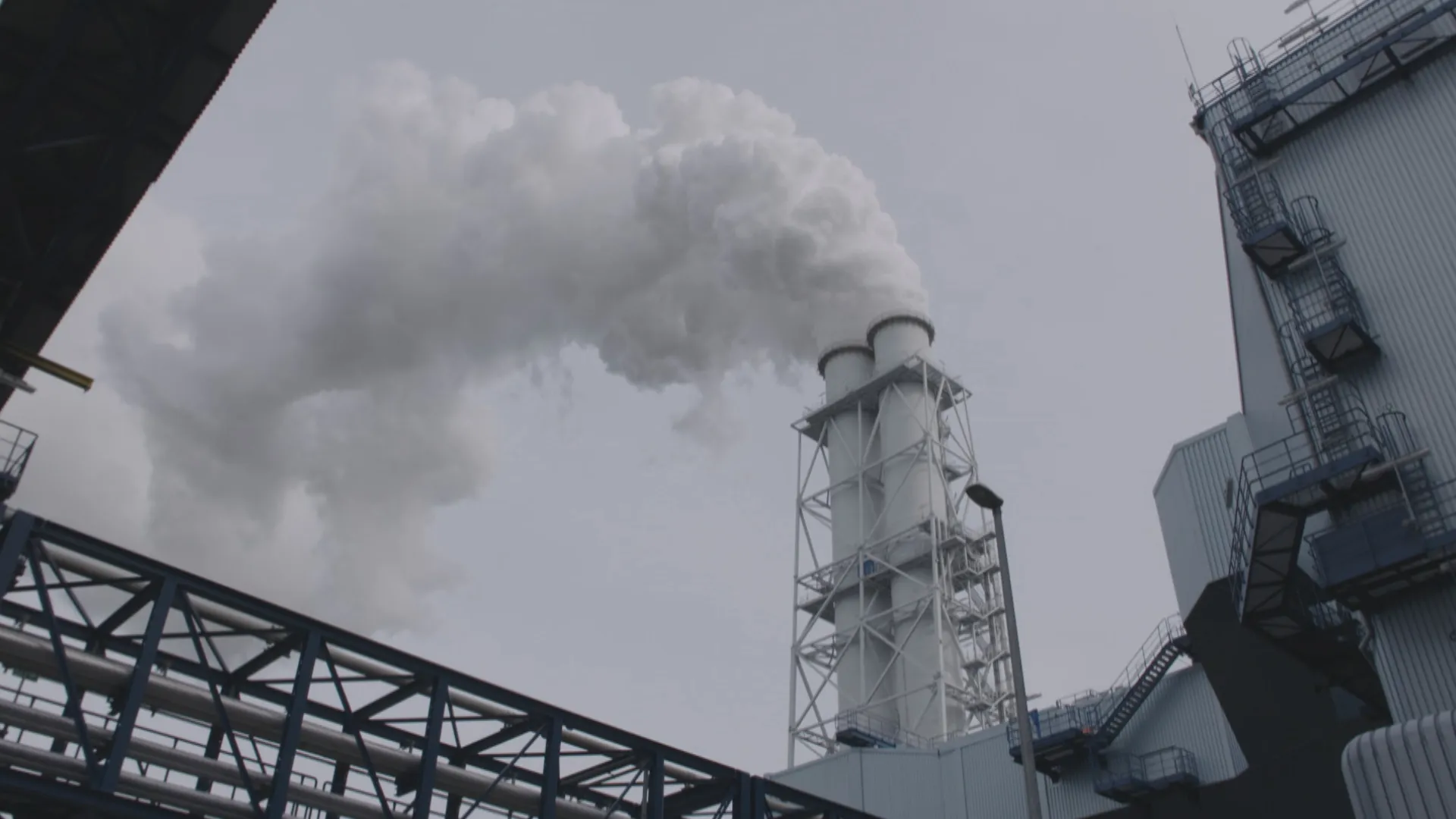 EDIT Bos als Brandstof_frame_899