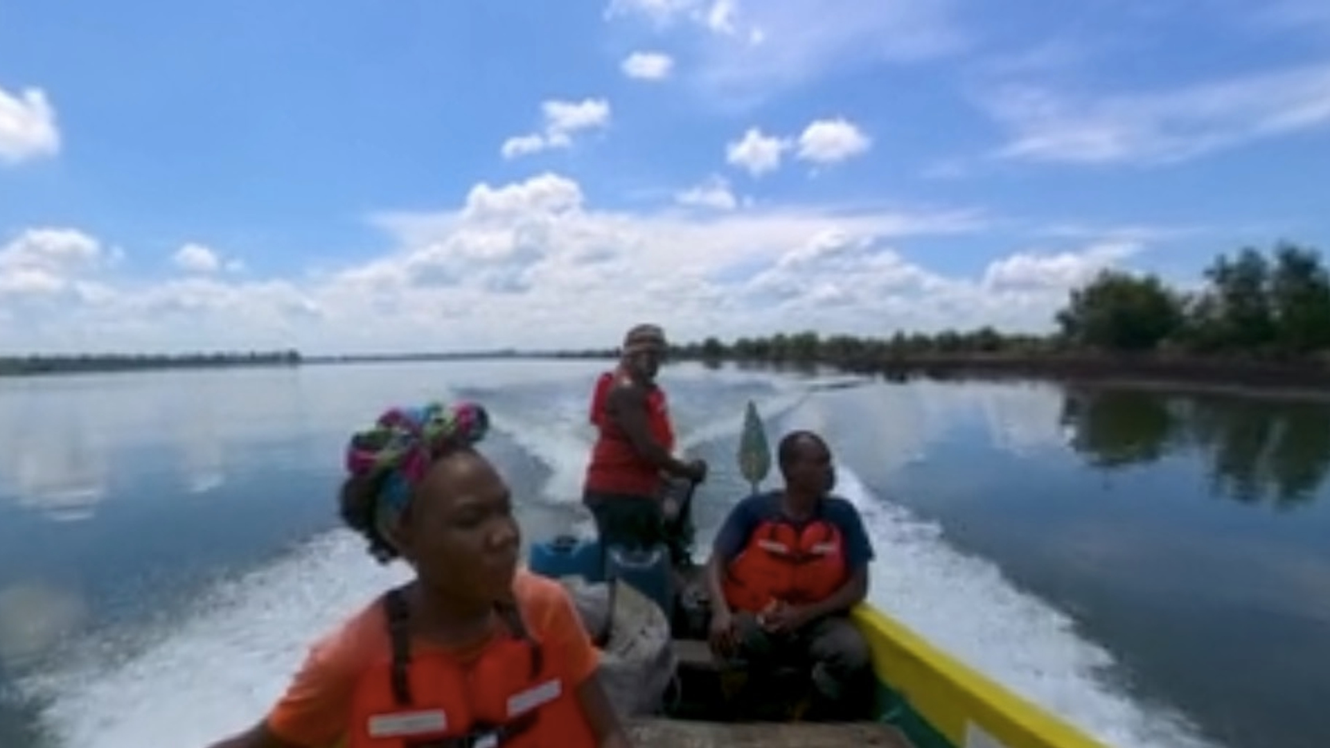 Lessi - shell - nigeria