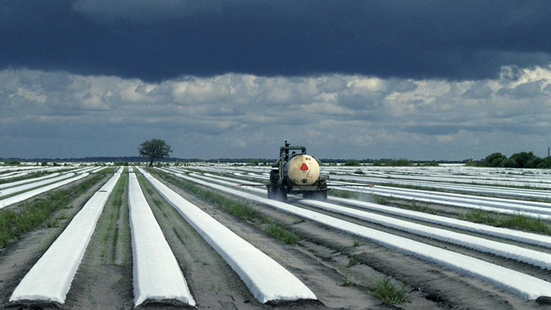 Pesticide