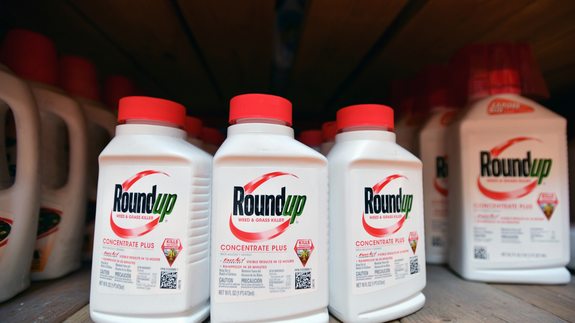 monsanto roundup - anp