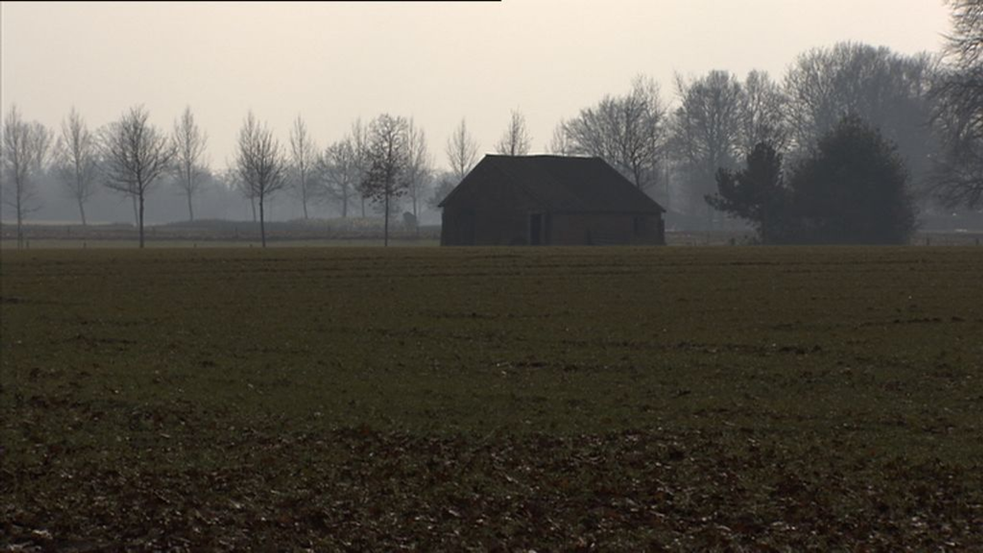 handel-in-gehandicapten