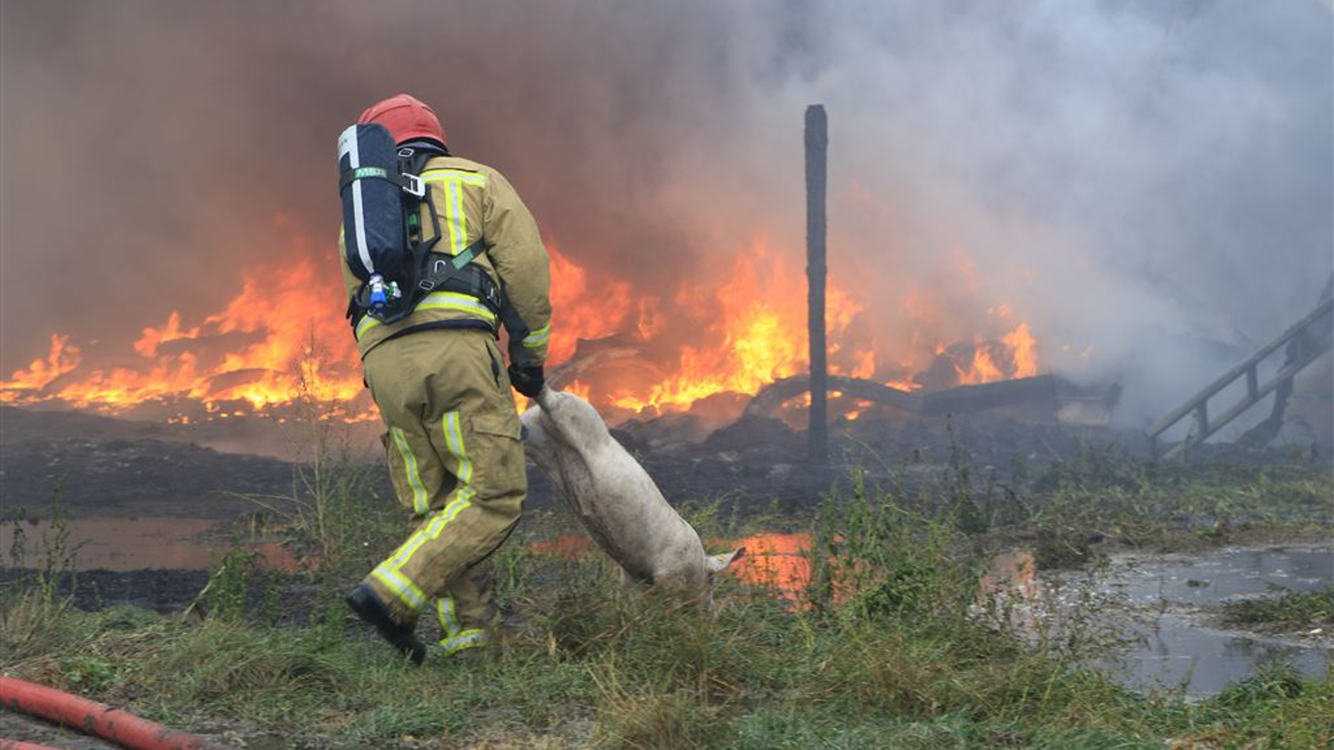 Stalbrand Heusden