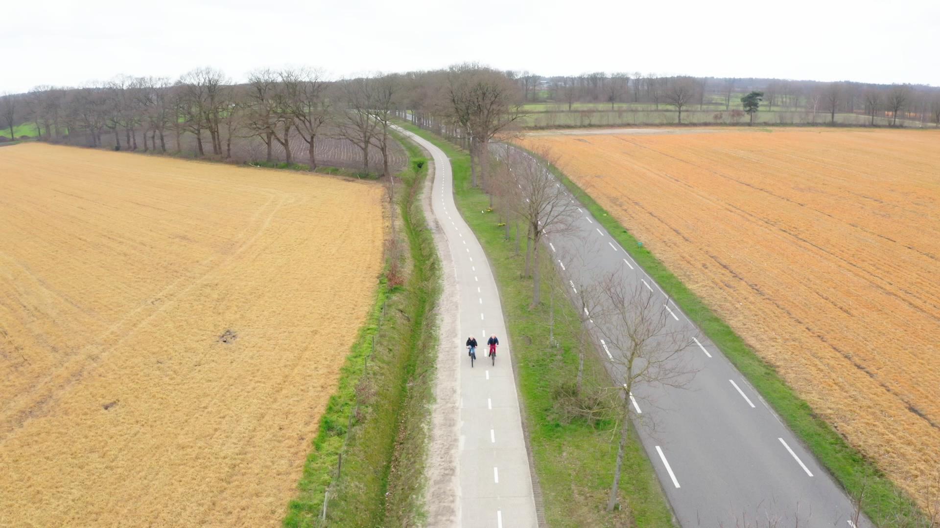 Bollengif in luiers - gele velden