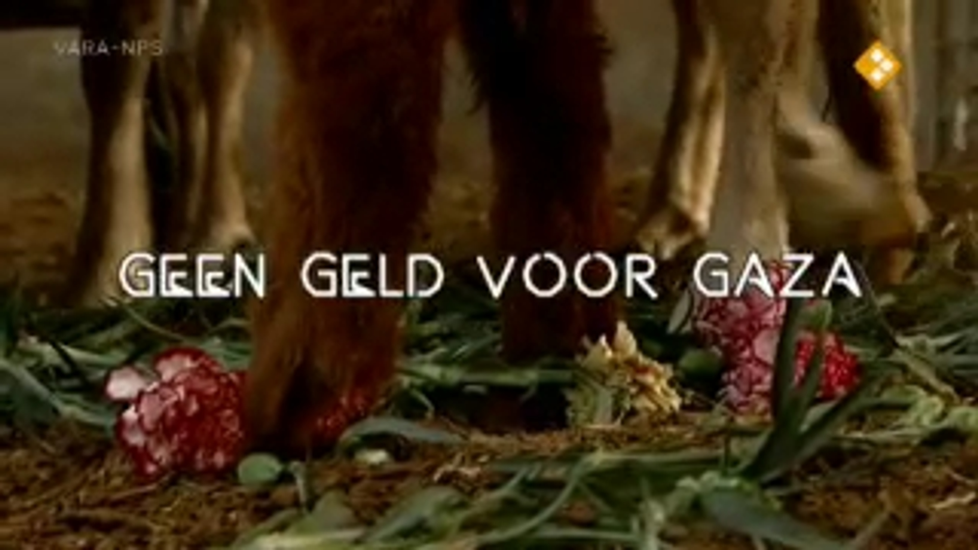 vn-leveren-voedsel-af-in-gazastrook