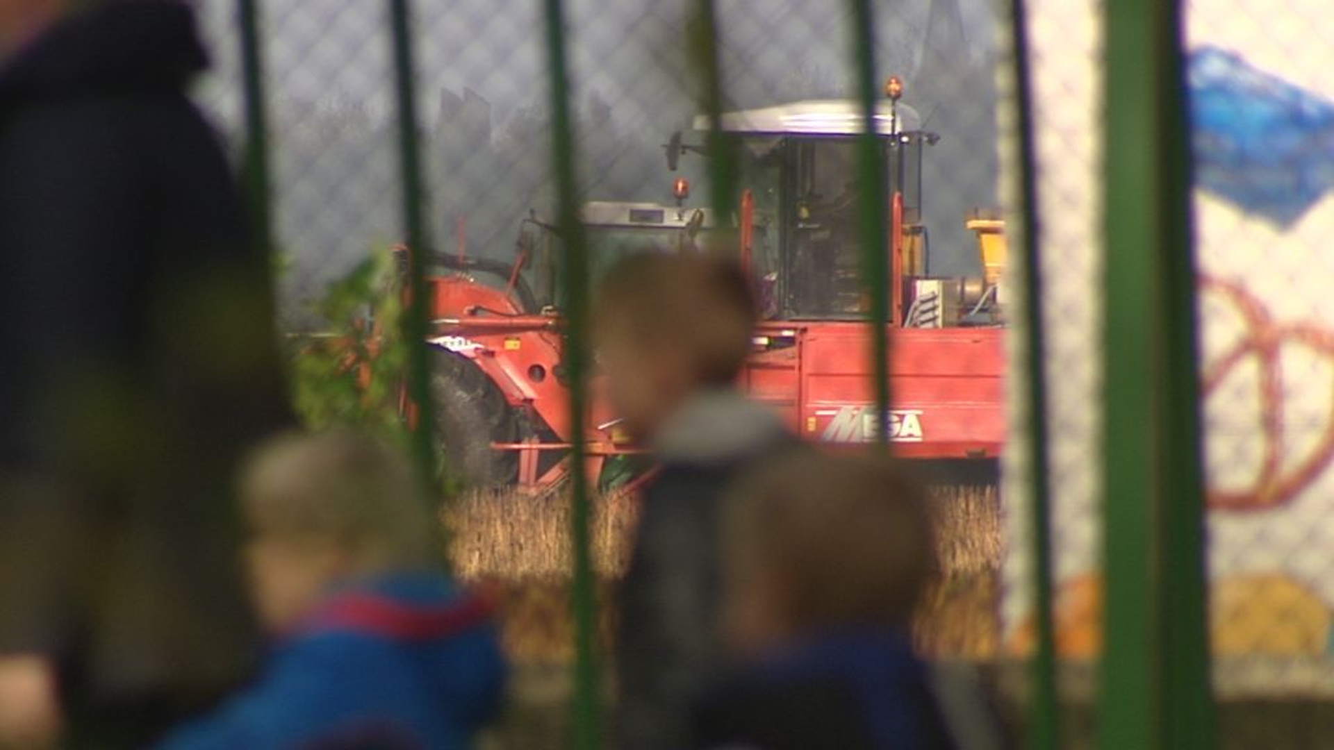 pvda-frysl%c3%a2n-wil-verbod-bestrijdingsmiddelen-lelies
