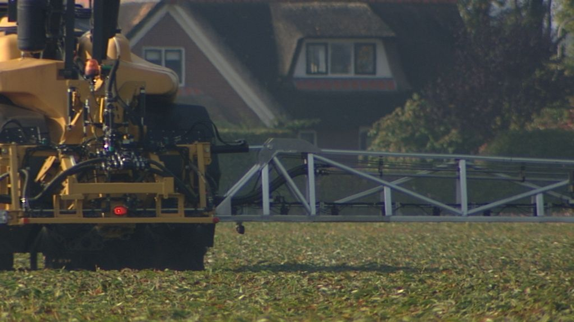 lelies-met-een-luchtje