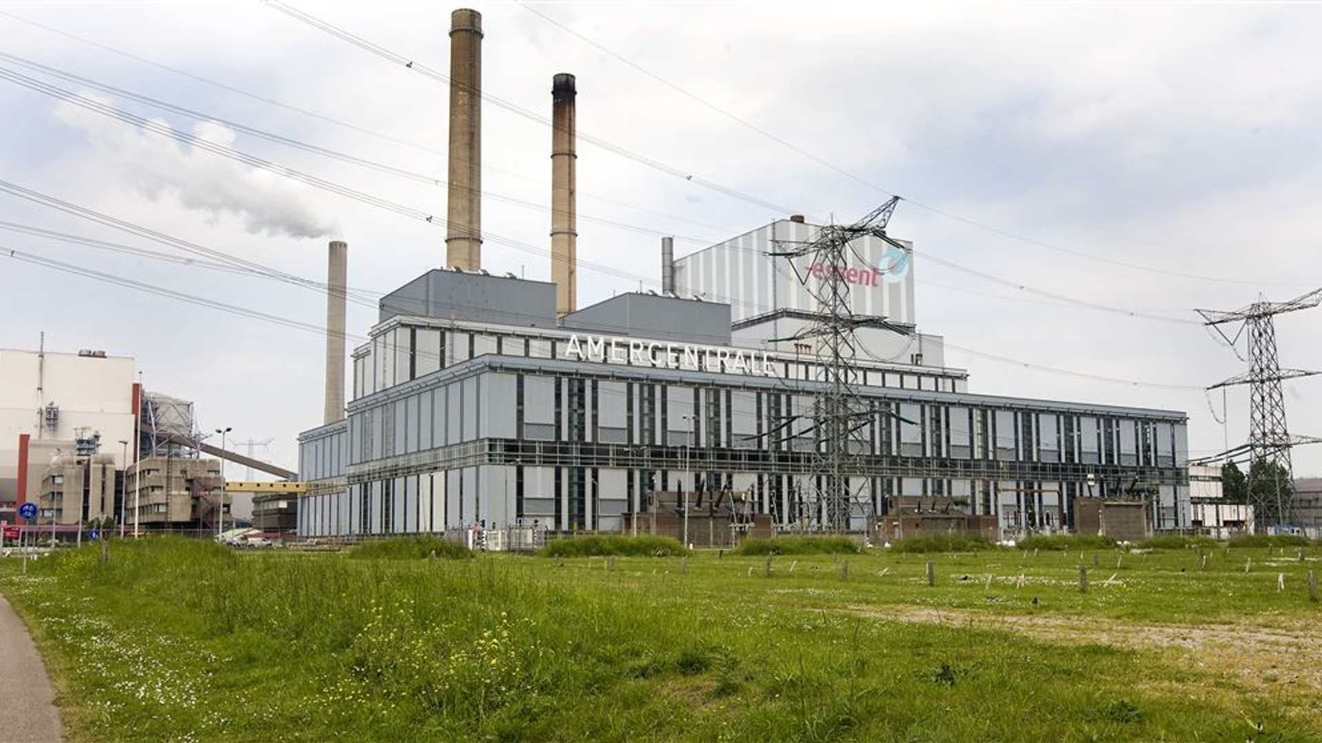 Bos als brandstof ANP-foto