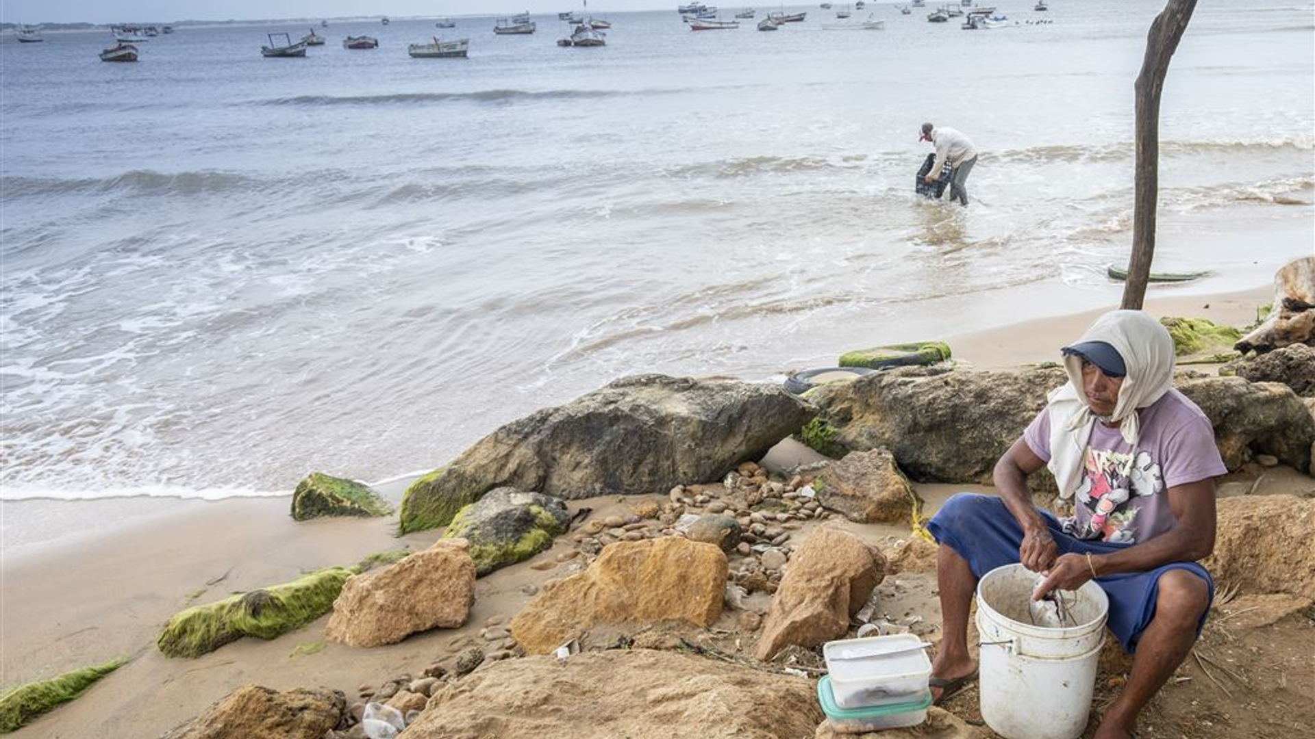Aangespoeld in het Koninkrijk der Nederlanden foto