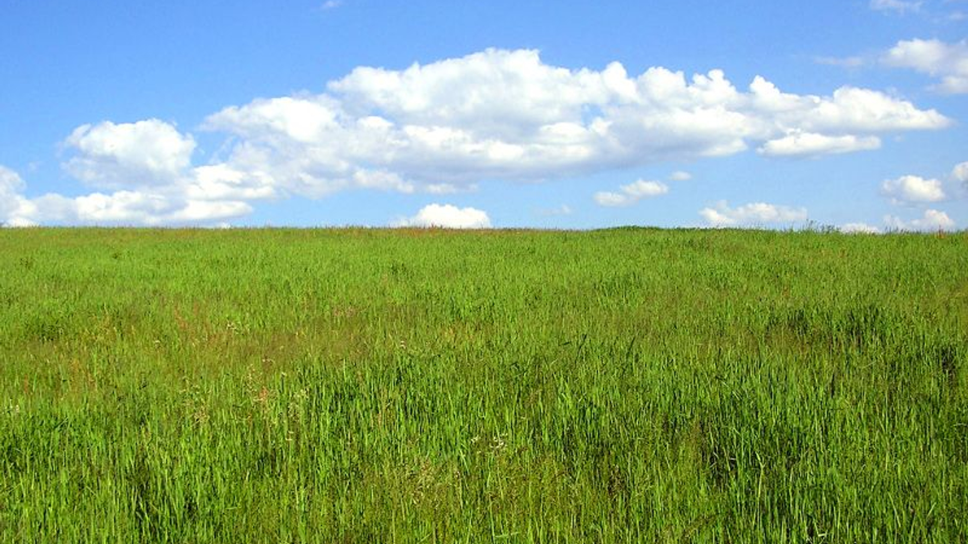 randstad-moet-door-krimp-geplaagde-platteland-redden