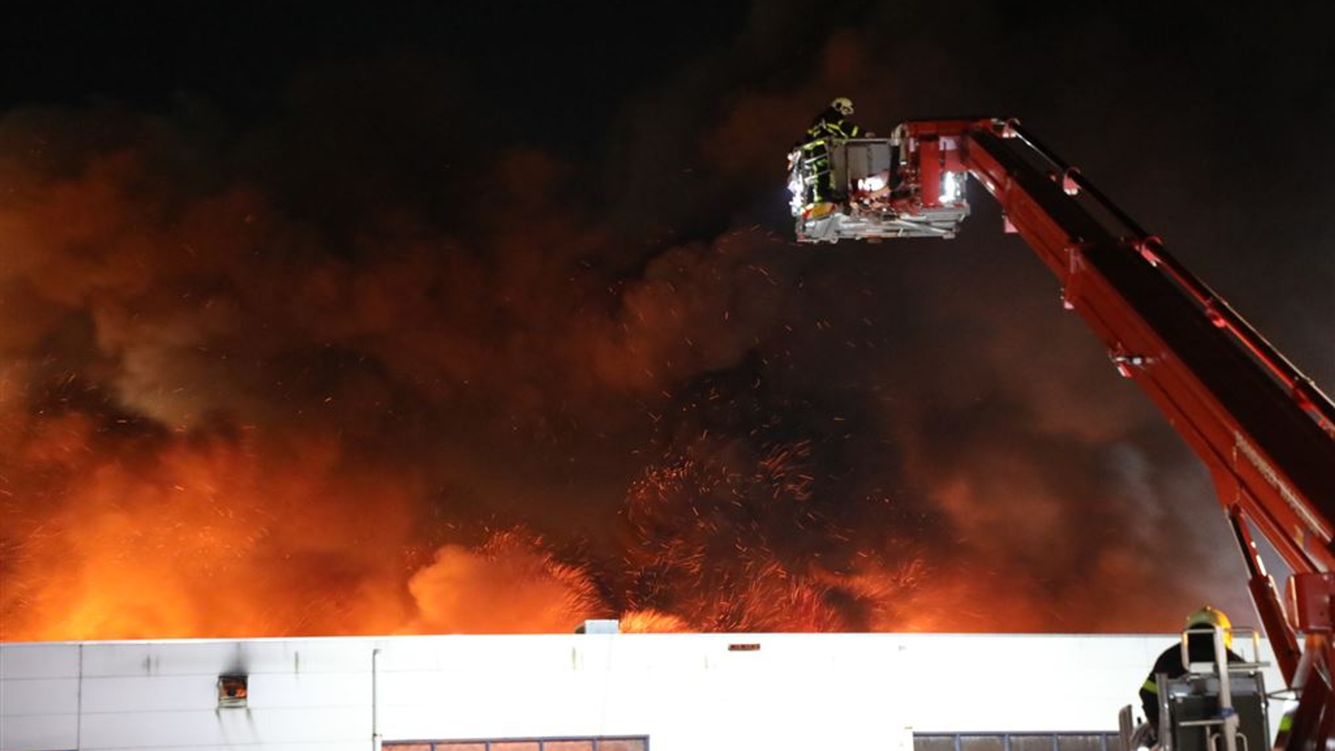 Brand TUF 2