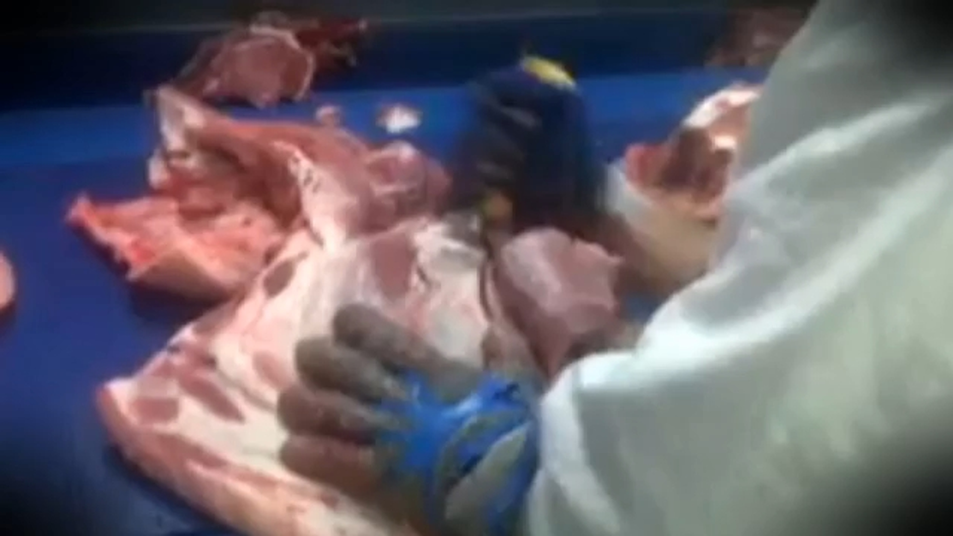 kans-op-vlees-zieke-dieren-in-supermarkt