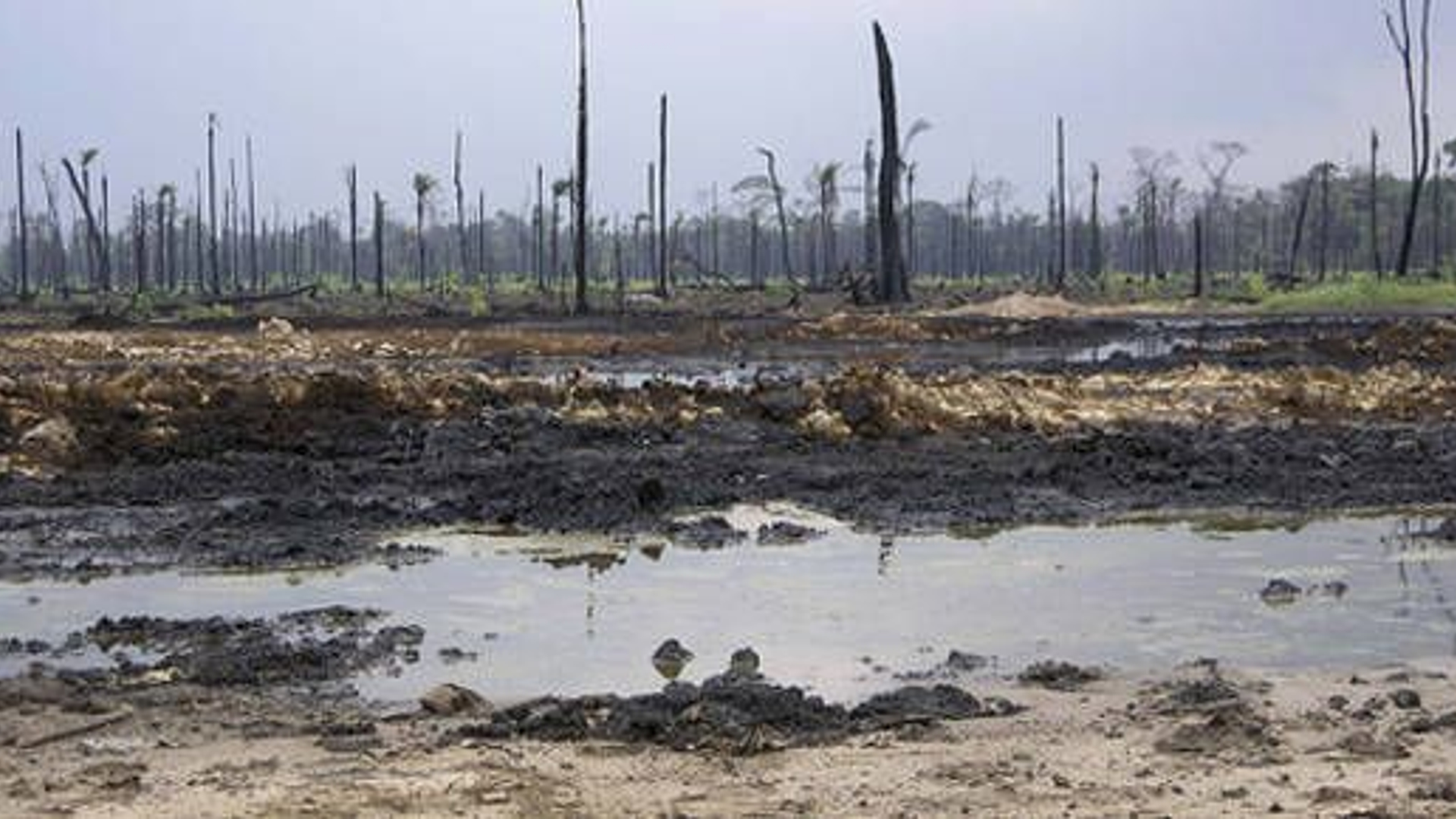 shell-in-nigeria