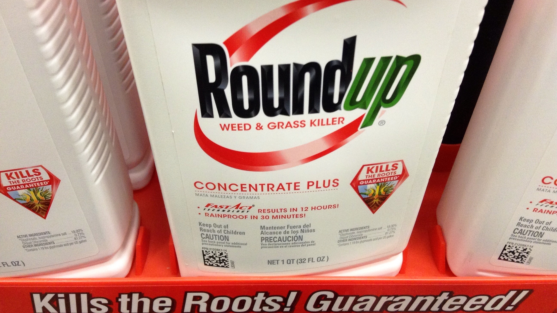 roundup 2 Flickr/Mike Mozart