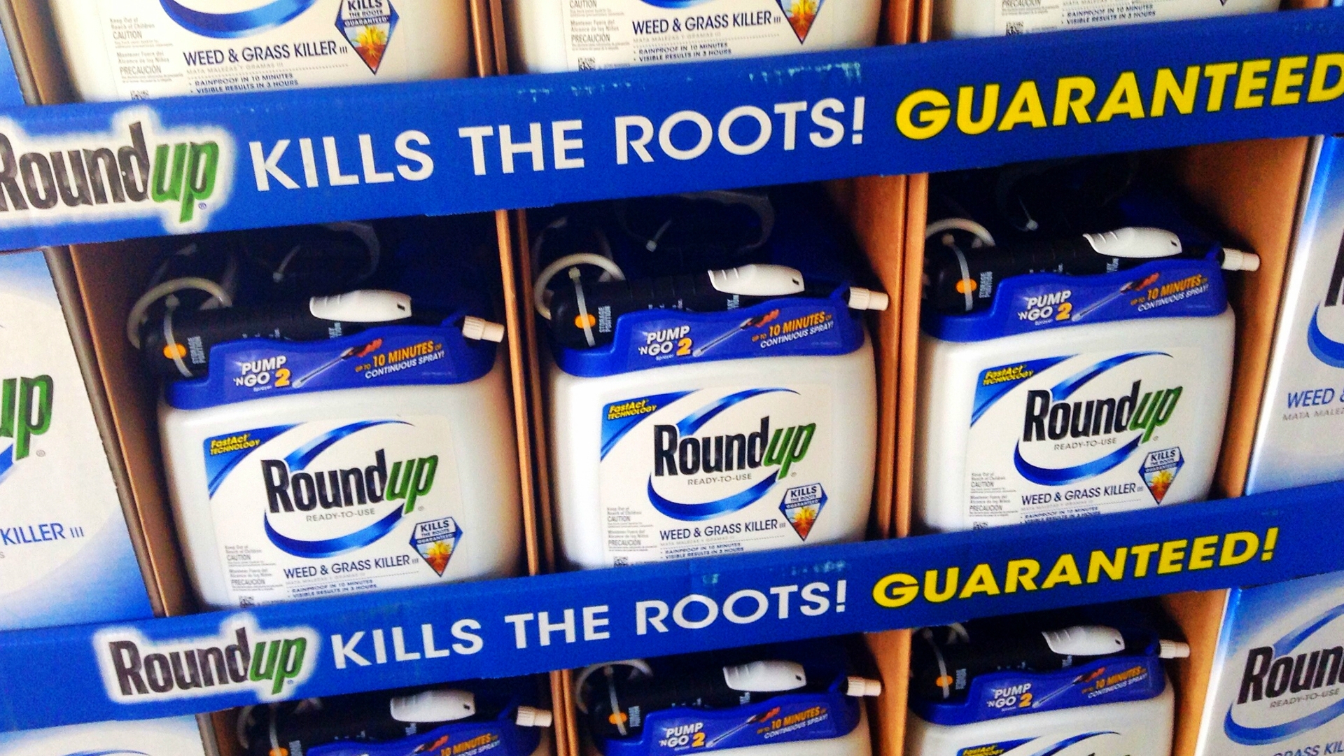 Roundup Flickr (Mike Mozart)