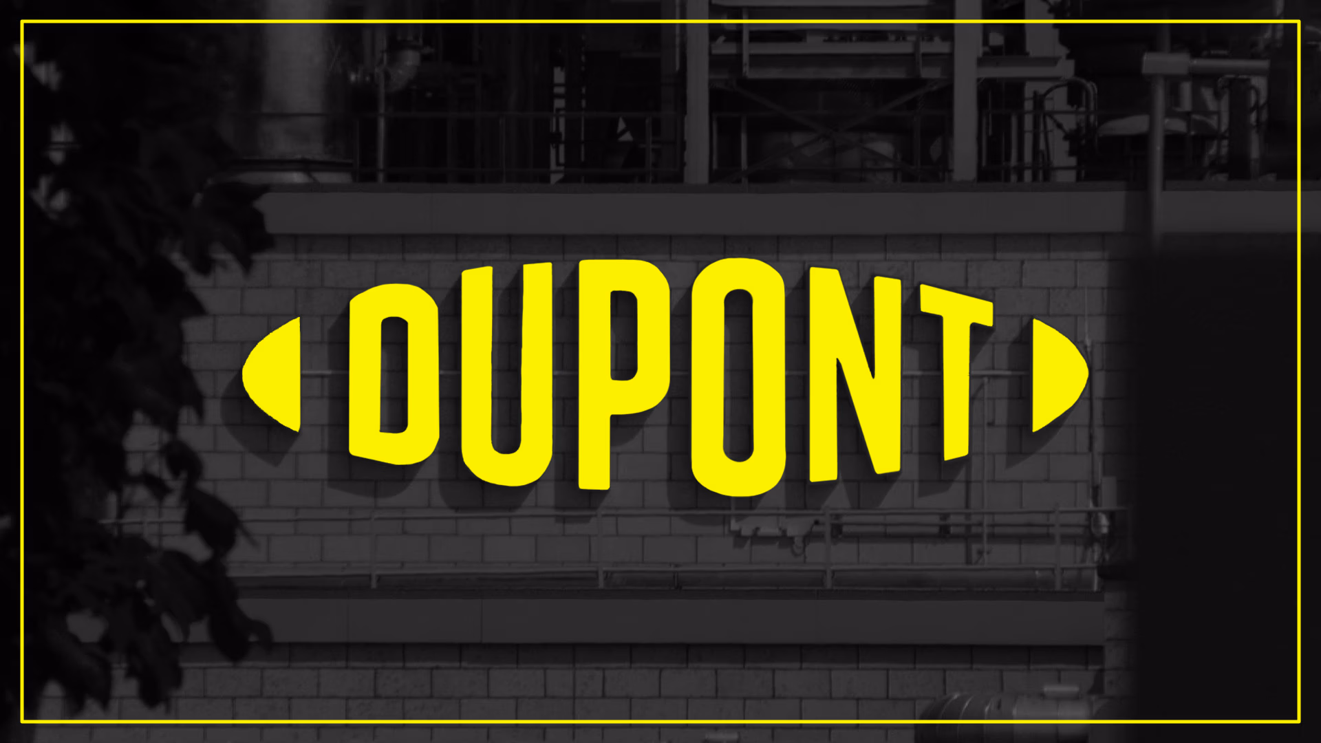 Afbeelding van DuPont en de PFAS-doofpot: wat verzweeg de industrie? [tijdlijn]