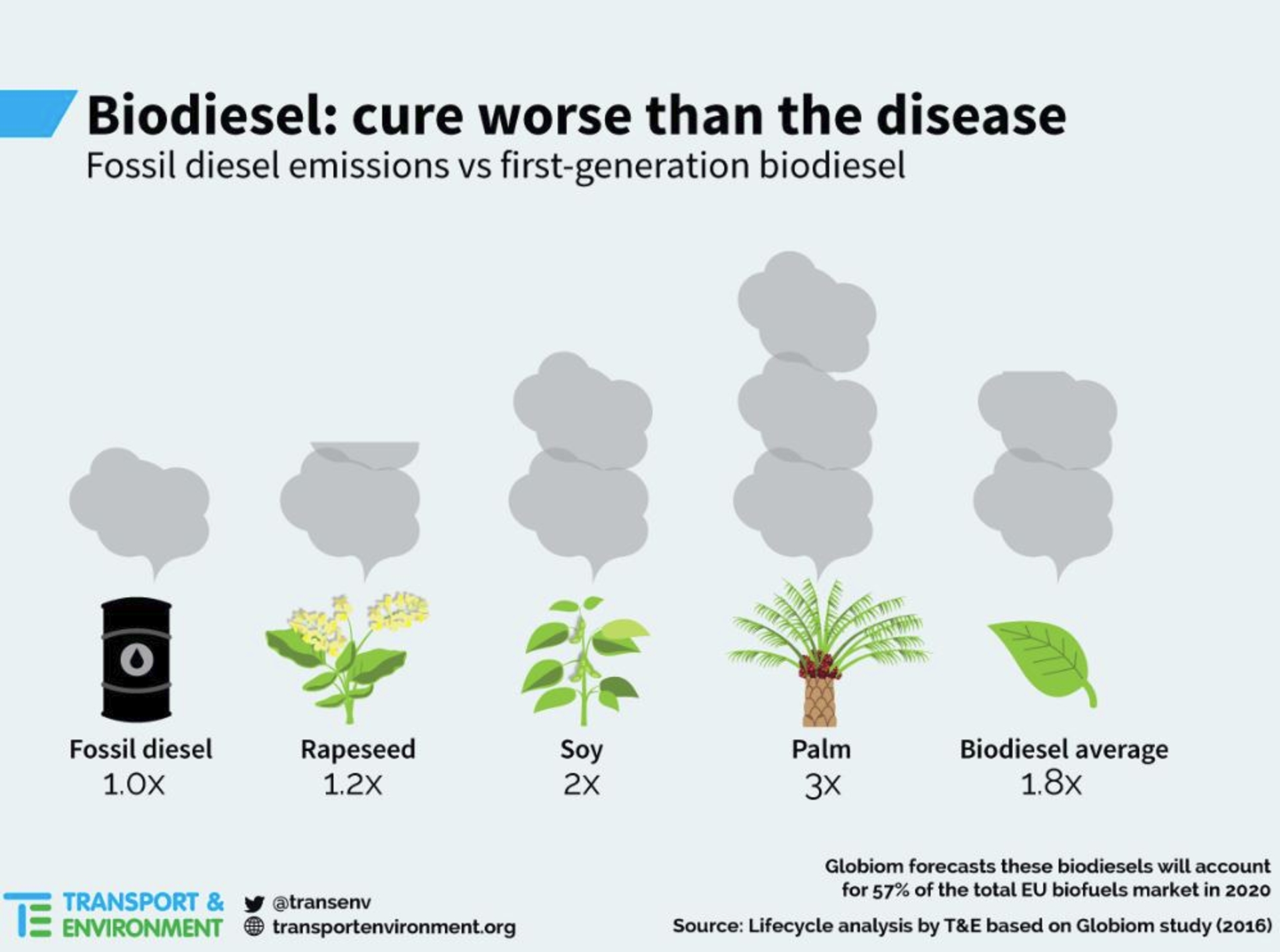 Biodiesel - infographic