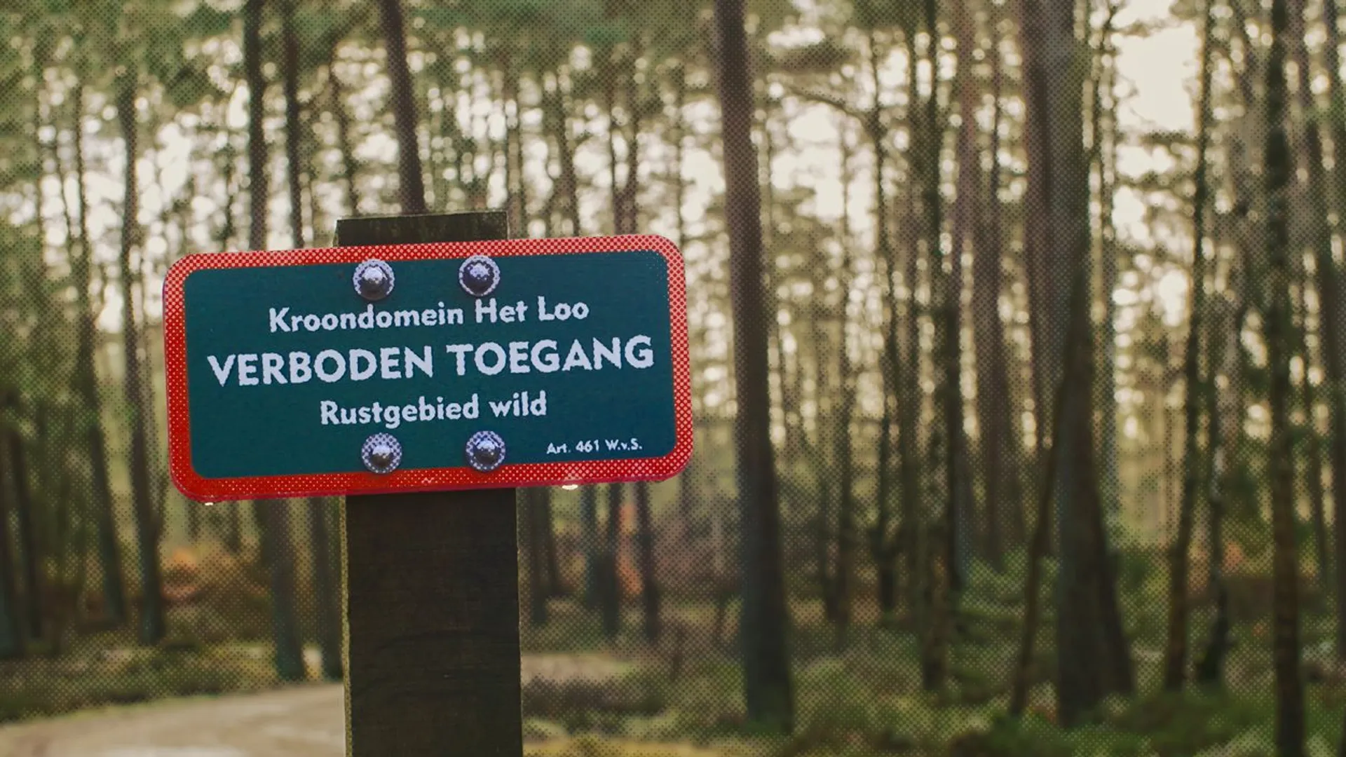 Afbeelding van Kroondomein Het Loo gaat weer maandenlang dicht