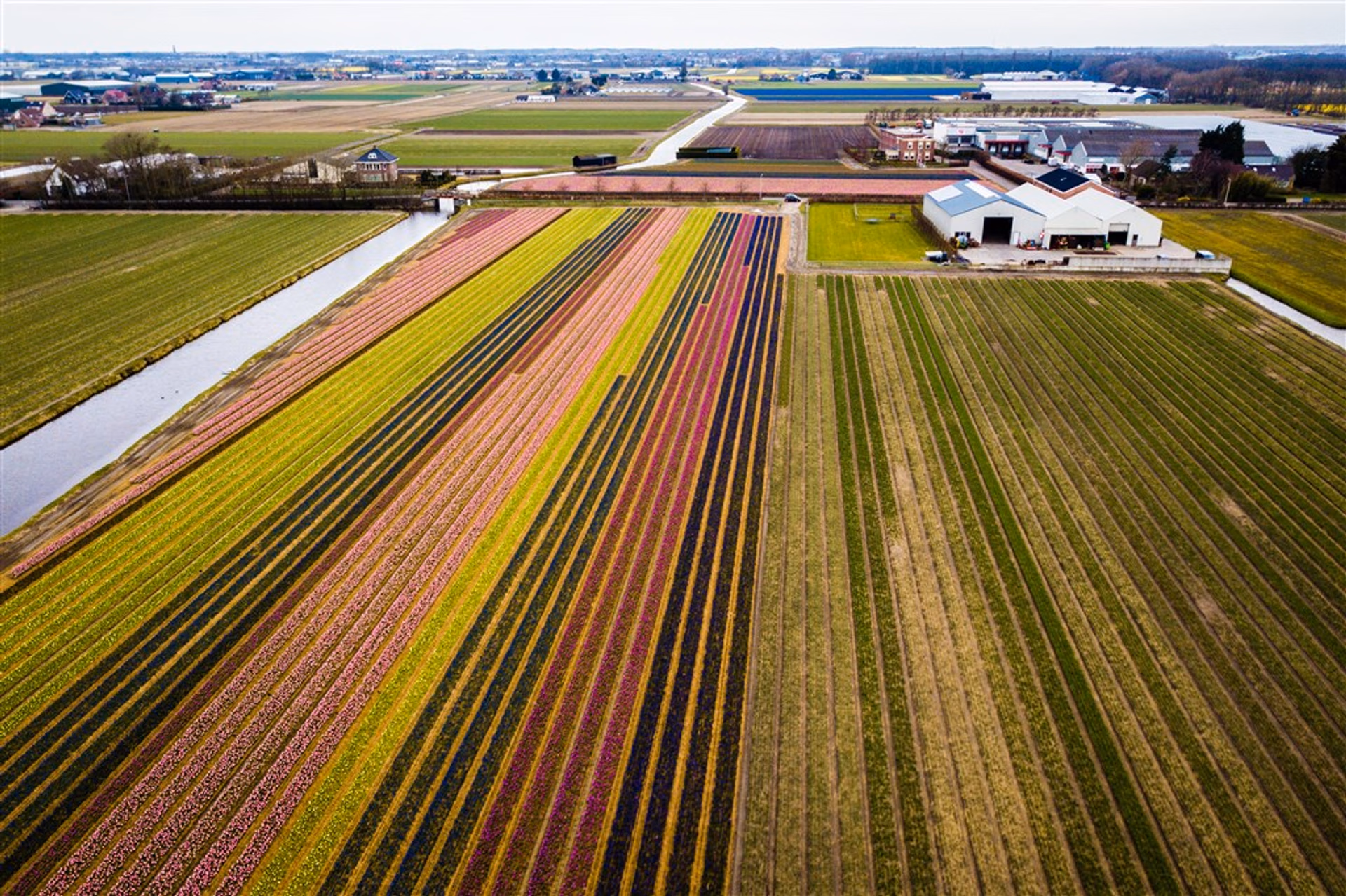 Afbeelding van Merendeel boeren vindt niet dat sector extra natuurbeschermingsmaatregelen hoeft te nemen