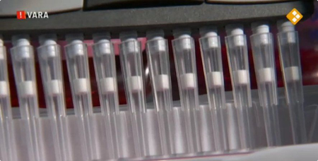 Afbeelding van Gezondheid