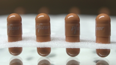 Afbeelding van The bitter pill