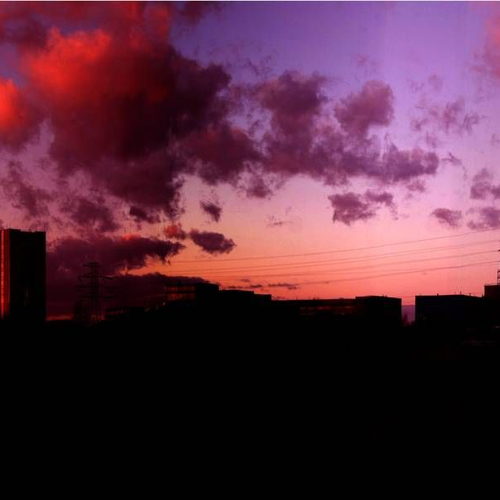 CO2 van vliegreizen Kamerleden beter gecompenseerd