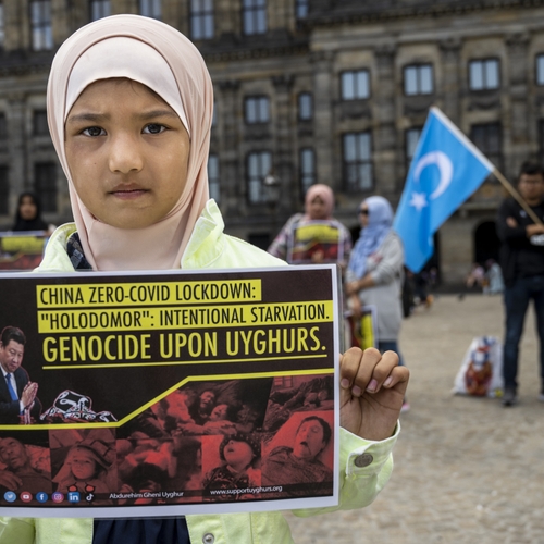 Afbeelding van Marteling en dwangarbeid: de onderdrukking van de Oeigoeren