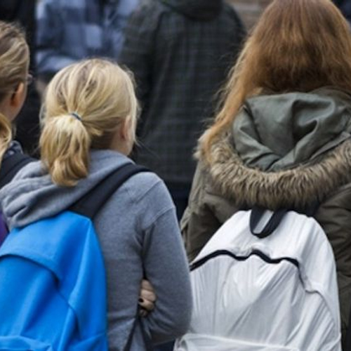 &apos;Maak pesten strafbaar&apos;