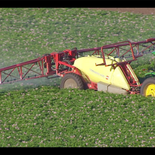 Kabinet wil omstreden bestrijdingsmiddel Roundup niet verbieden