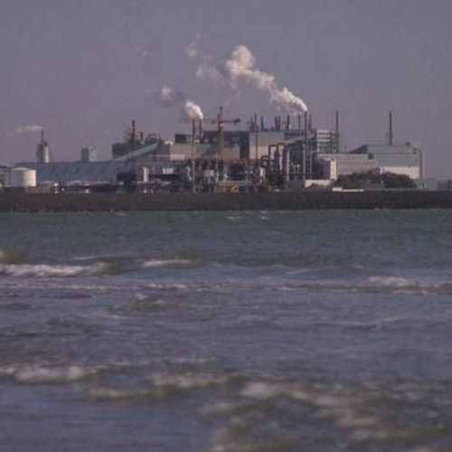 Fosfor aan de Schelde