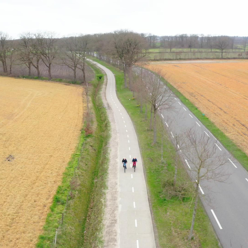 Minister moet omwonenden bollenvelden beschermen met spuitvrije zones