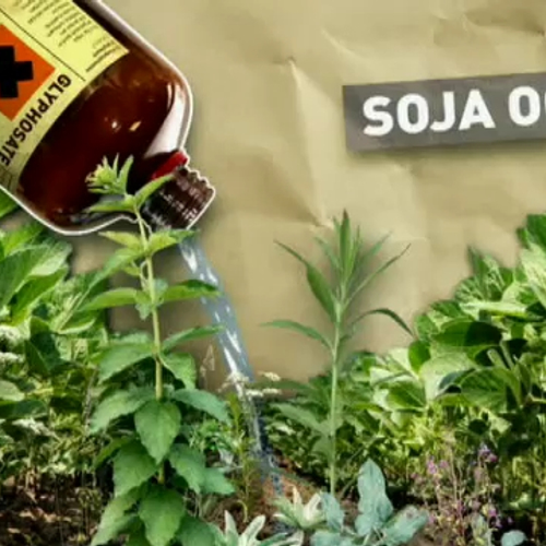 &apos;Verbied gif dat ook vlinders en vogels doodt&apos;