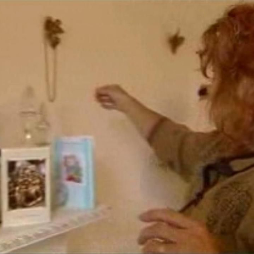 Aasgieren en erfgenamen