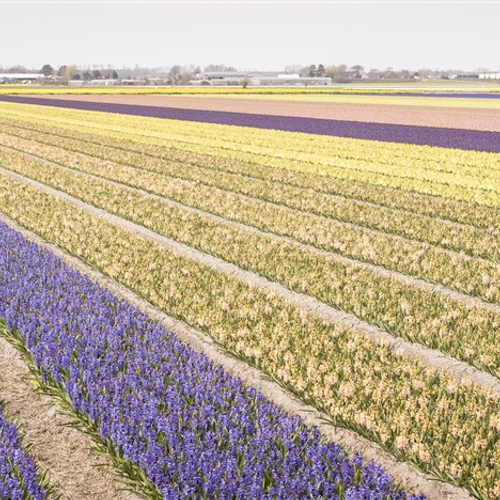 Drentse bewoners onderzoeken landbouwgif in bodem en water en vinden 57 middelen