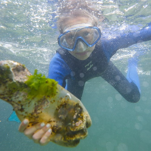 Shell en andere grote bedrijven gaan strijd aan met zwerfplastic