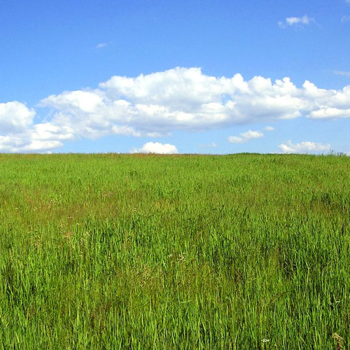 Randstad moet door krimp geplaagde platteland redden