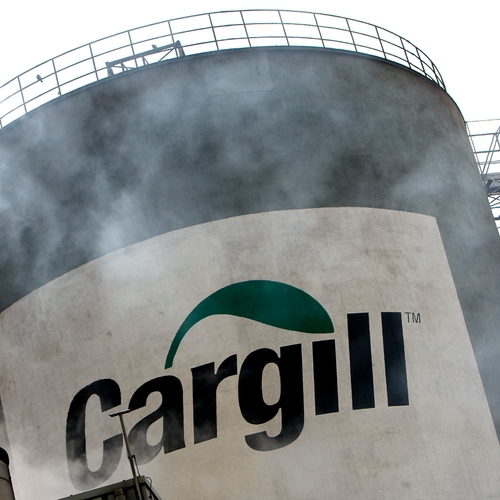 Milieuactivisten: 'Ahold moet banden verbreken met destructieve voedingsreus Cargill'
