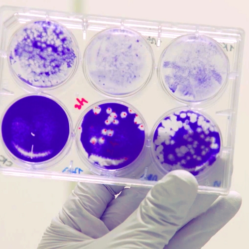RIVM-onderzoekers zeggen nu ook: besmetting via kleine druppeltjes is mogelijk