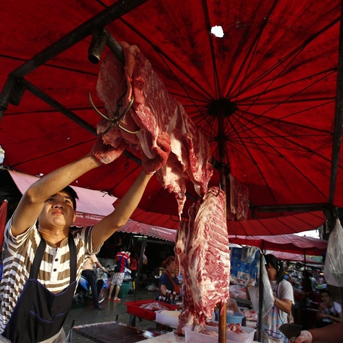 ‘Overgrote deel bevolking Zuidoost-Azië wil stop op wilde dierenmarkten’