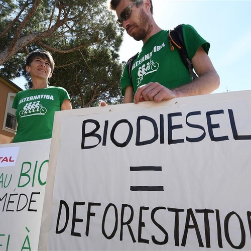 Frankrijk verbiedt import palmolie voor biobrandstoffen