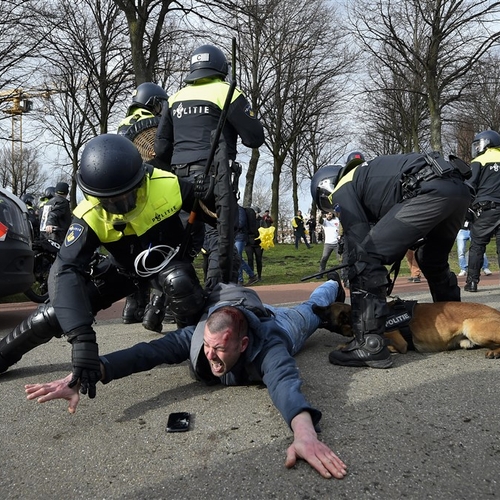 Amnesty wil onderzoek naar gewelddadig politieoptreden bij demonstratie in Den Haag