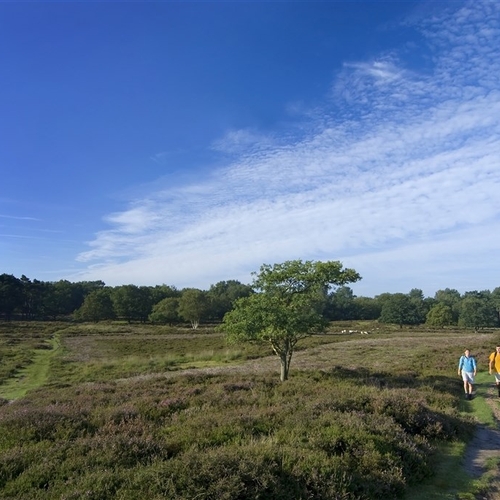 Afbeelding van Acht natuurgebieden in Drenthe vervuild met landbouwgif